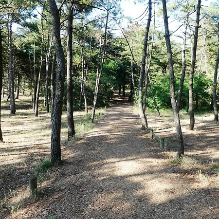 D'olonne Supberbe T3 Vue Imprenable 7mn De La A Pied Apartamento *